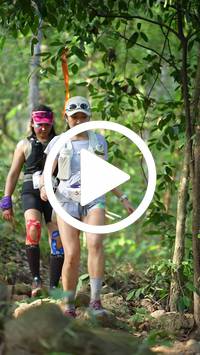 BIB:  <button type="button" onclick="openModal(27636308)" class="btn btn-primary btn-sm float-right" data-toggle="modal" data-target=".modal-high-quality">
                <i class="fa fa-download"></i> Download
                </button>